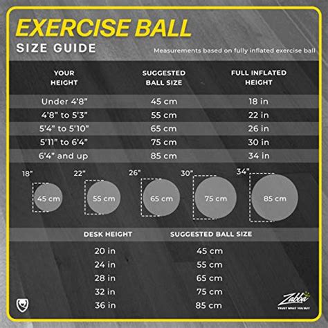 URBNFIT Exercise Ball - Yoga Ball in Multiple Sizes for Workout ...