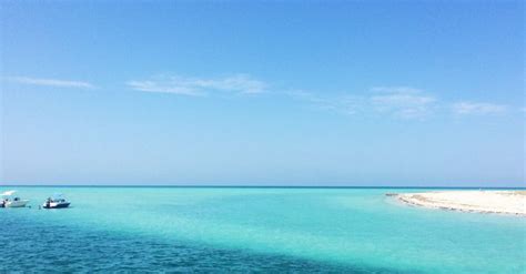 Beaches of Djerba Island, Tunisia – photos, rooms, and prices for ...