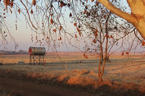 Winter landscape on the highveld - Rietfontein, Gauteng, South Africa | Winter landscape ...