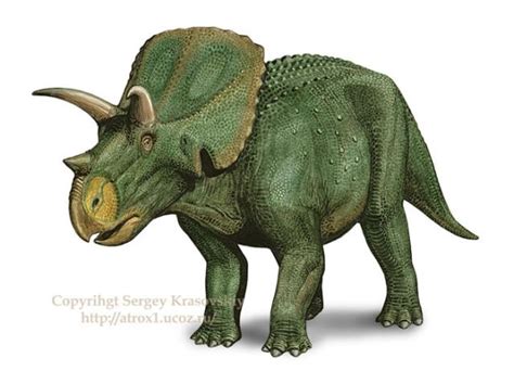 Arrhinoceratops Pictures & Facts - The Dinosaur Database