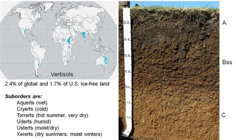 29 Vertisols soil order—global distribution, land area, suborders, and... | Download Scientific ...