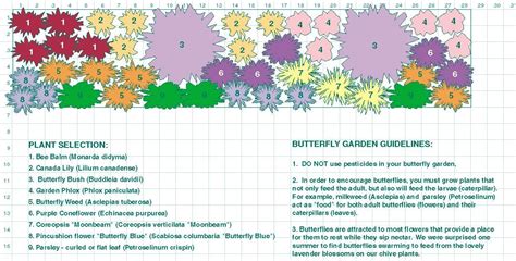 Butterfly Garden Paln | Butterfly garden design, Butterfly garden layout, Garden design plans