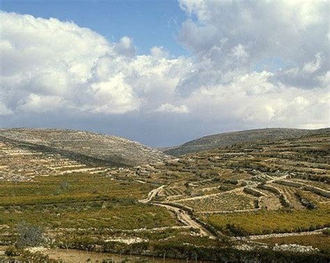 Valley of Eshkol: Then they came John Hagee Ministries, Travel Points ...