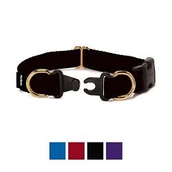 How Safe Are Breakaway Dog Collars?