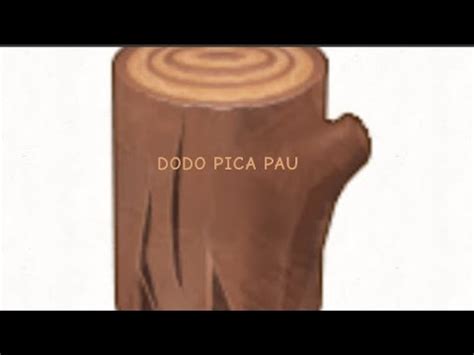 DODO PICA PAU - YouTube