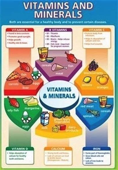 Pin on Vitamins And Minerals Chart