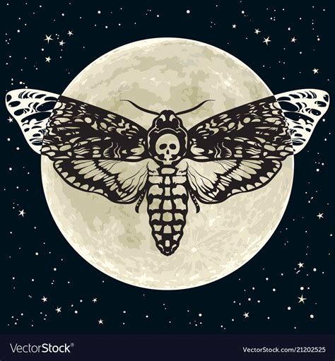 Death head hawkmoth on the full moon and night sky vector image on ...