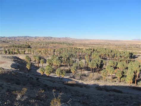 Moapa Valley National Wildlife Refuge - 19 Photos - Hiking - 4001 W Warm Springs Rd, Moapa, NV ...