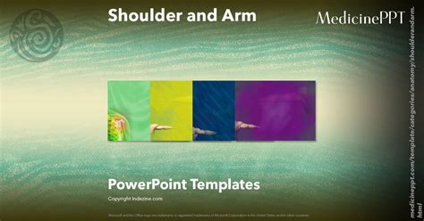 Shoulder and Arm - Medicine PowerPoint Templates