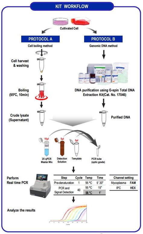 E-Myco VALiD-qPCR Mycoplasma Detection kit - Cell Culture - Life Sciences