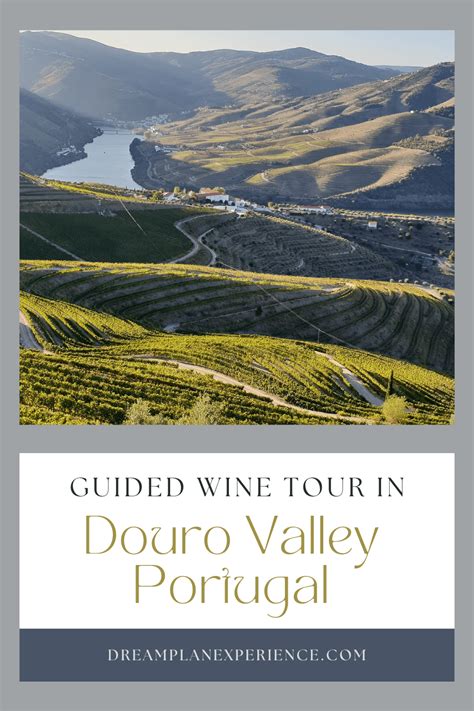 A Douro Valley Wine Tour from Porto Portugal • Dream Plan Experience