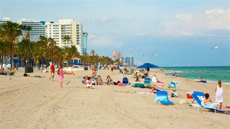 Are Dogs Allowed At Fort Lauderdale Beach