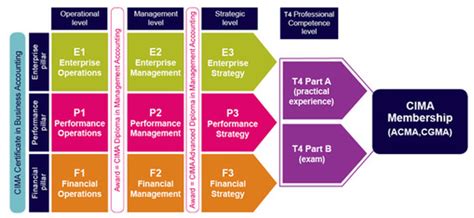 CIMA Syllabus 2019: Operational, Management & Strategic Exam Levels