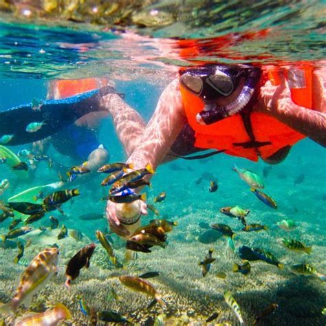 Blue Lagoon Snorkeling is the latest experience watersport packages