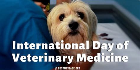 International Day of Veterinary Medicine Quotes, Messages