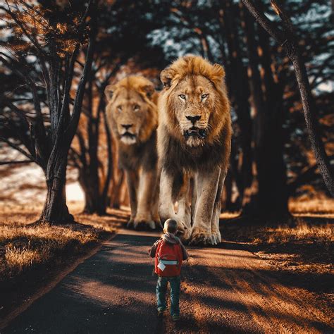 Surreal Photos Visualize a World Where Giant Animals Roam the Land