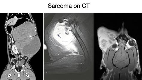 Soft Tissue Sarcoma in Dogs: Diagnosis, Treatment, and Prognosis - AURA Veterinary