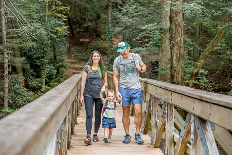 Our Favorite Family Hiking Trails in Ellijay - Gilmer County Chamber