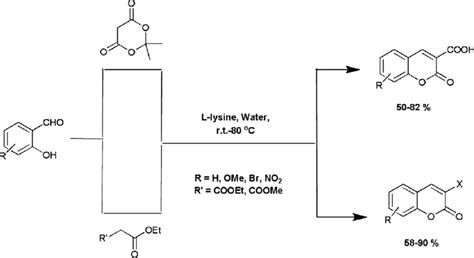 Scheme 22. Synthesis of 3-substituted coumarins. | Download Scientific ...