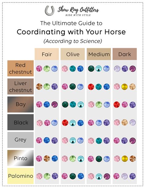 The Ultimate Guide to Color Coordinating with Your Horse - Show Ring Outfitters