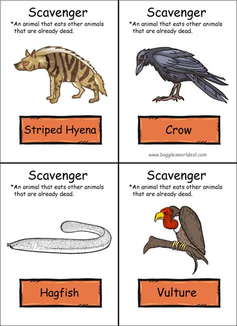 Quia - Life Science - Lesson 5: Unique Niche, Food Chains, and Food ...