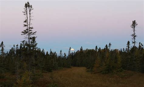 Uncovering Secrets of Earth's Shadow - Sky & Telescope - Sky & Telescope