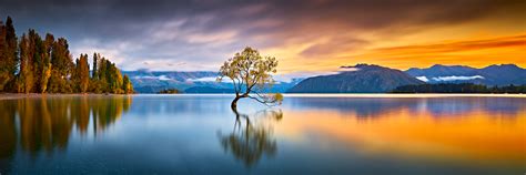 The Wanaka Tree :: Golden Hours Photos « AustralianLight - Fine Art ...