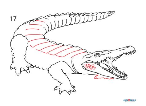 How To Draw A Crocodile Comment Dessiner Un Crocodile Easy Drawings ...