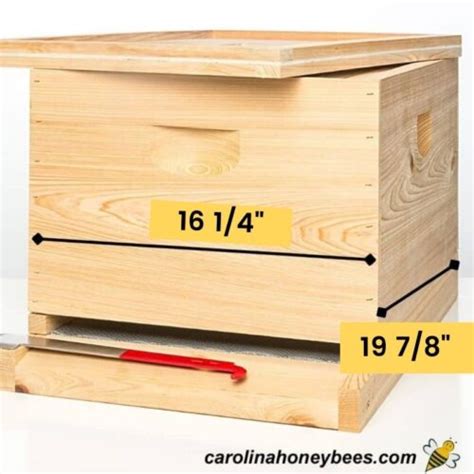 Langstroth Hive Dimensions: Beekeeper's Guide - Carolina Honeybees