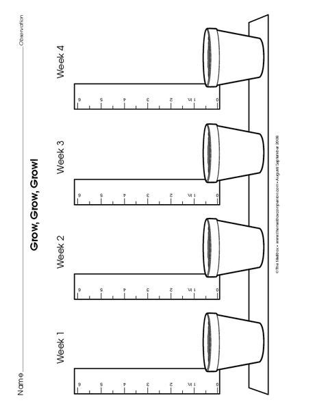 Measuring plant growth; math and science 1st Grade Science ...