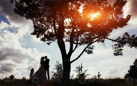 Portrait of beautiful wedding couple at sunset 6560157 Stock Photo at Vecteezy