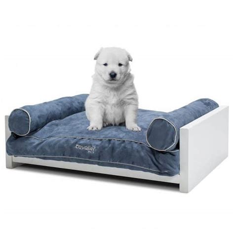 Top 8 Best Fancy and Luxury Dog Beds 2018 - Dog Bed Zone