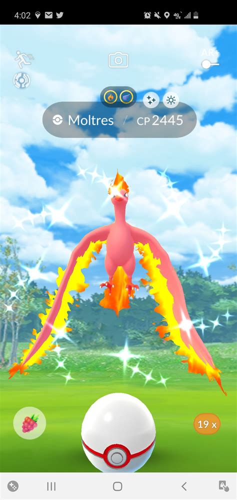 Shiny Moltres in 2021 | Shiny pokemon, Pokemon go, Pokemon live