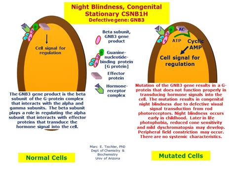 Night Blindness, Congenital Stationary, CSNB1H | Hereditary Ocular Diseases