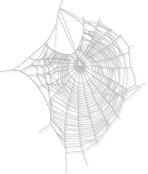 /m/02csf Dr.Henry Jekyll Spider web Symmetry Drawing - Hostelry png download - 576*678 - Free ...