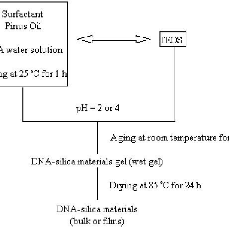 Preparation scheme of microemulsion systems applied as templates for ...