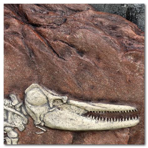 Australian Freshwater Dolphin Fossil Dig Sculptures - Natureworks