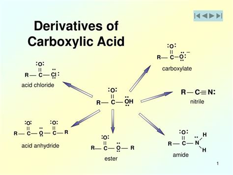 PPT - Derivatives of Carboxylic Acid PowerPoint Presentation, free ...