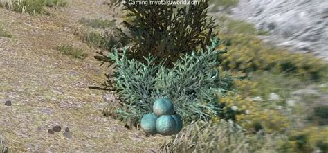 Skyrim: Where Do You Get Juniper Berries? - Gaming - MOW