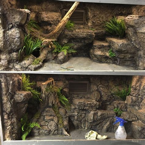 Pin by Sierra Coe on Vivarium/Terrarium | Reptile terrarium, Snake terrarium, Lizard terrarium