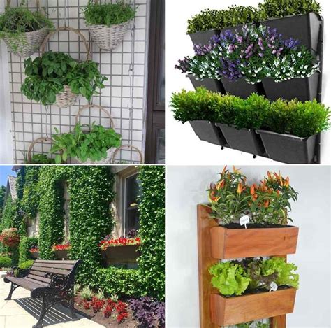 Vertical Garden Design Ideas for Beginners | Gardening Tips