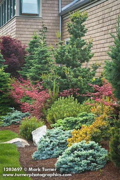 When a front yard has a lot of trees, shrubs or decorative elements on a single side an ...