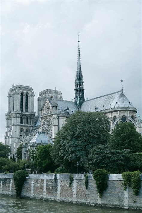 Notre Dame de Paris in greenery on cloudy day · Free Stock Photo
