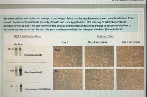 Solved Between cellular and molecular assays, a pathologist | Chegg.com