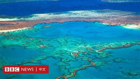 澳洲大堡礁名列世界遺產40年後面臨的「降級」危機 - BBC News 中文