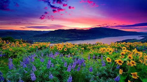 Beautiful Flowers Scenery, spring, sky, clouds, lake, mountains ...