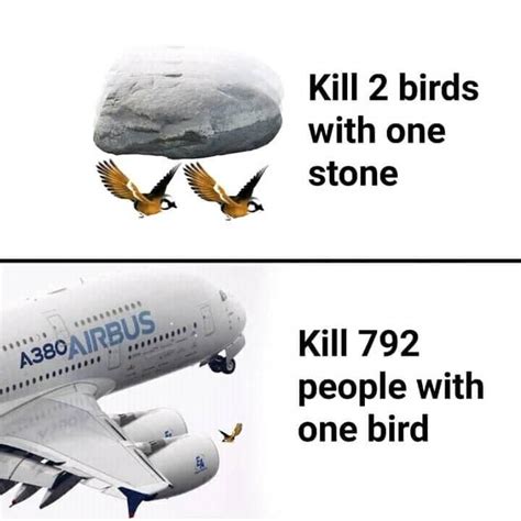 Kill 2 birds with one stone Blank Template - Imgflip