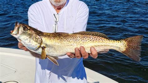 How-To Catch Speckled Trout in the Gulf: Tips and Techniques