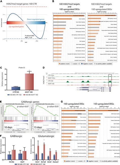 Frontiers | EZH2-Mediated H3K27me3 Targets Transcriptional Circuits of ...