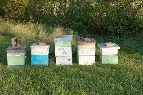 Honey Bee Farming Boxes and Bee-keeping Equipment Stock Photo - Image of countryside, grassy ...